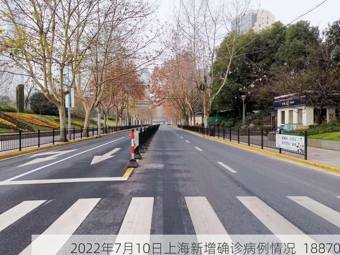 2022年7月10日上海新增确诊病例情况_18870