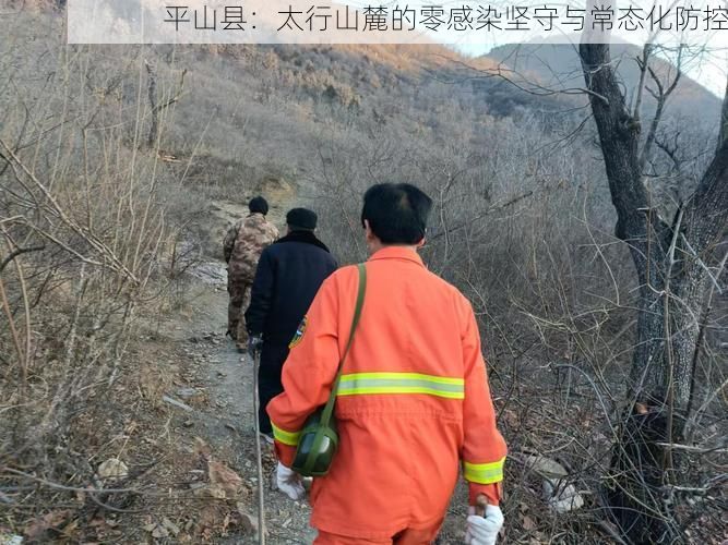 平山县：太行山麓的零感染坚守与常态化防控