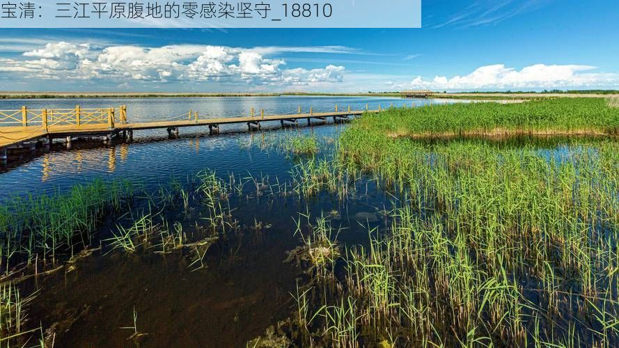 宝清：三江平原腹地的零感染坚守_18810