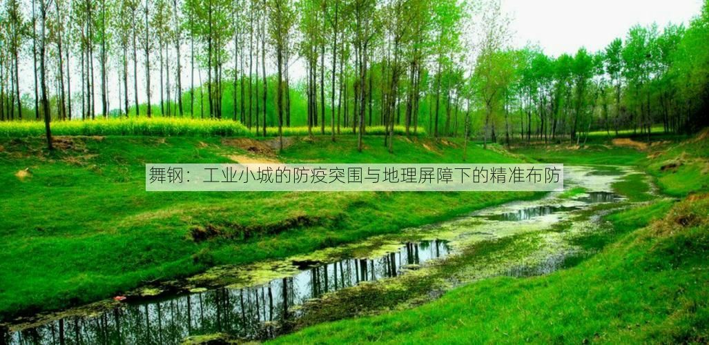 舞钢:工业小城的防疫突围与地理屏障下的精准布防