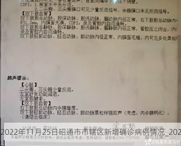【2022年11月25日昭通市市辖区新增确诊病例情况_20212】