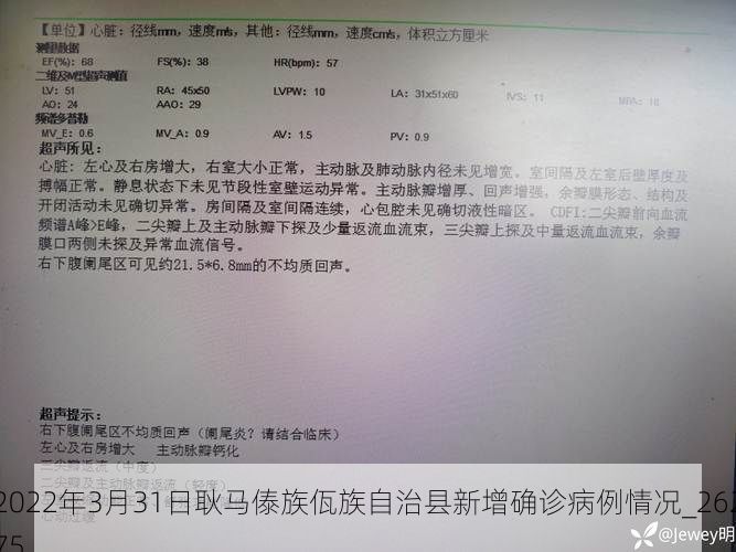 2022年3月31日耿马傣族佤族自治县新增确诊病例情况_26275