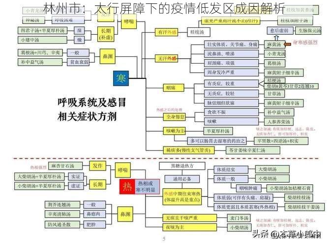 林州市:太行屏障下的疫情低发区成因解析