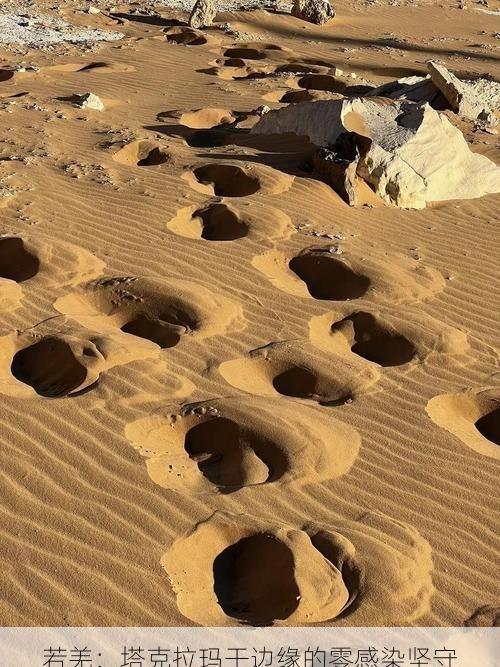 若羌：塔克拉玛干边缘的零感染坚守