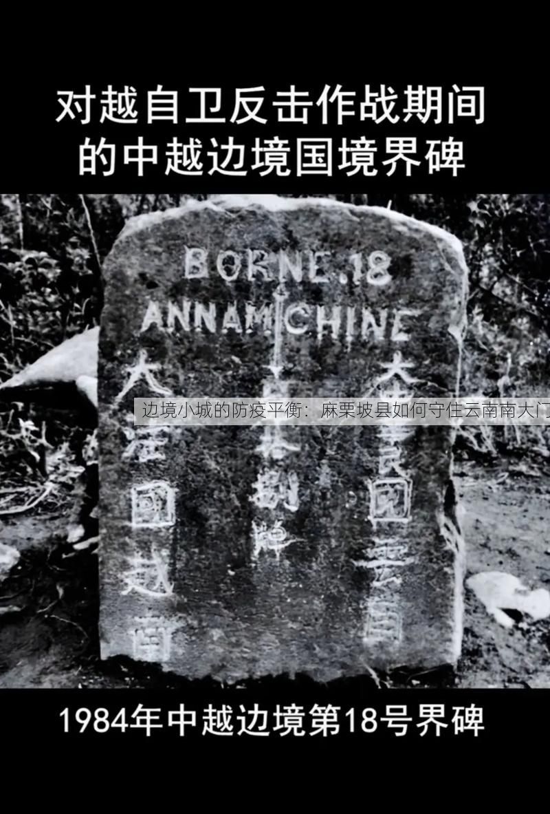 边境小城的防疫平衡:麻栗坡县如何守住云南南大门