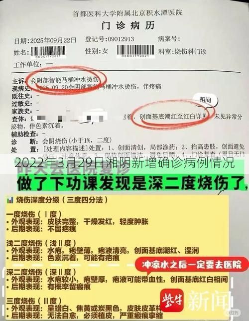 2022年3月29日湘阴新增确诊病例情况