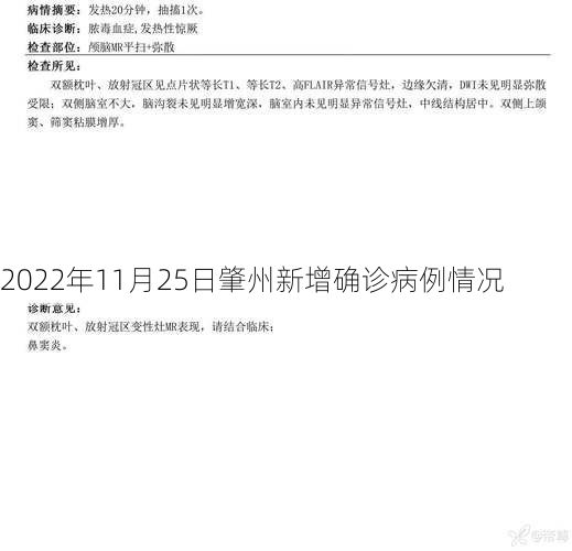 2022年11月25日肇州新增确诊病例情况