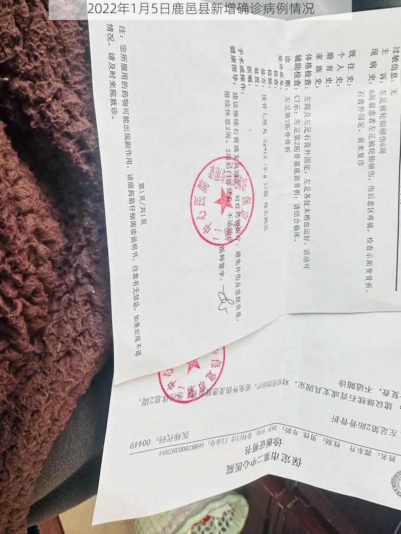 2022年1月5日鹿邑县新增确诊病例情况
