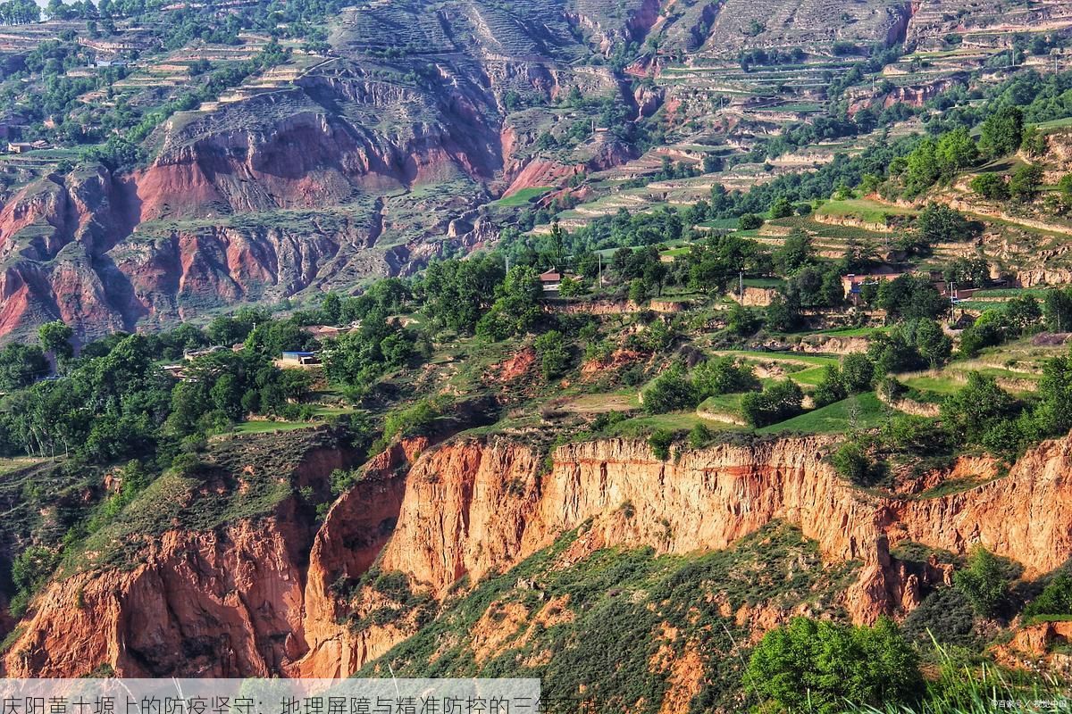 庆阳黄土塬上的防疫坚守:地理屏障与精准防控的三年实践