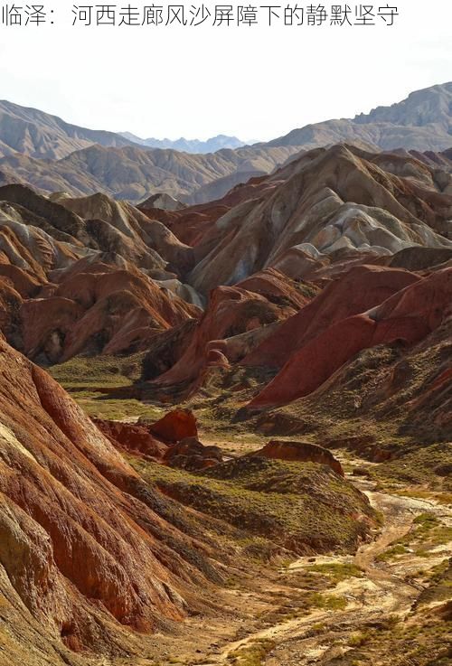 临泽：河西走廊风沙屏障下的静默坚守