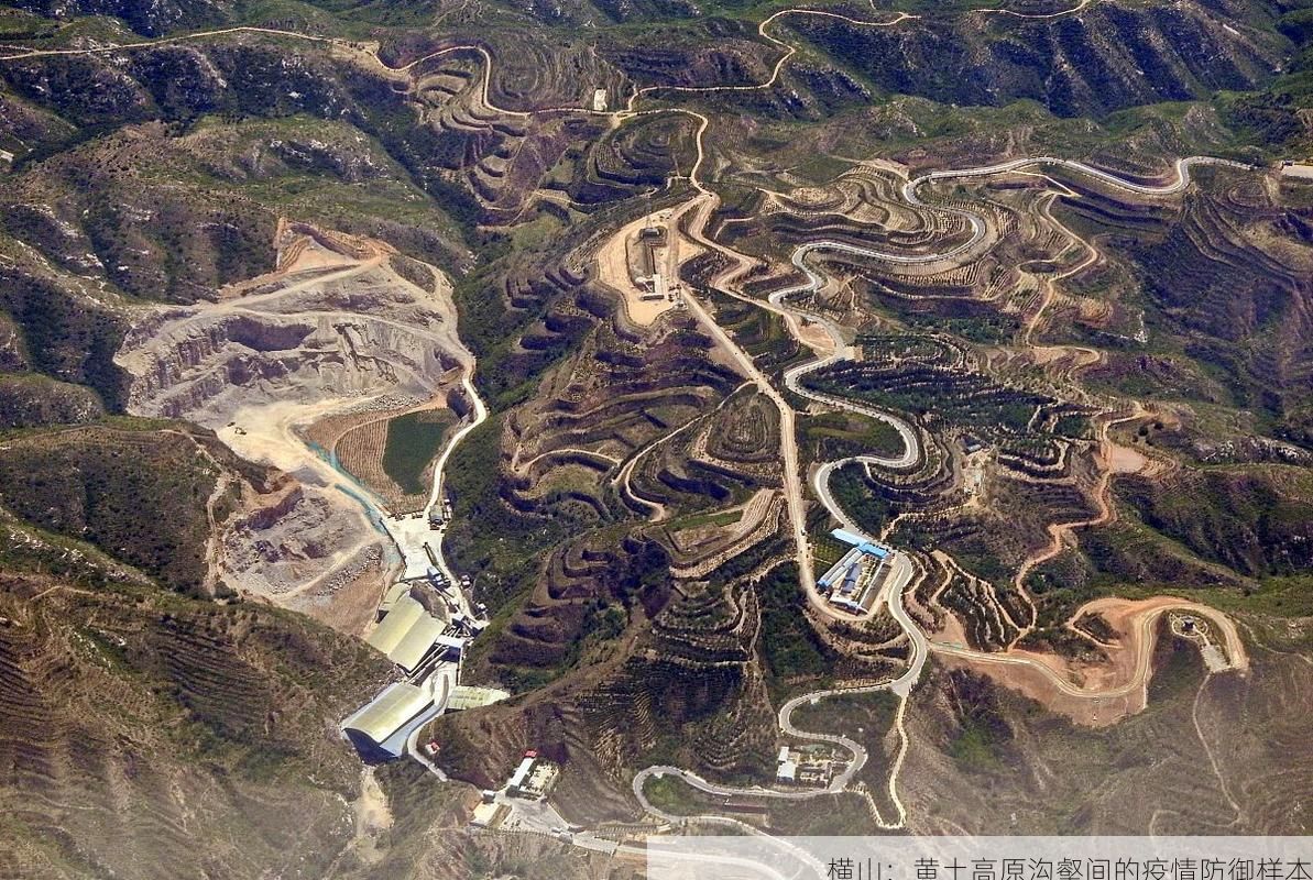 横山：黄土高原沟壑间的疫情防御样本