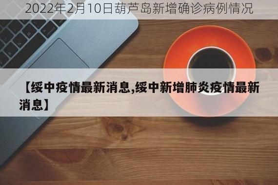 2022年2月10日葫芦岛新增确诊病例情况