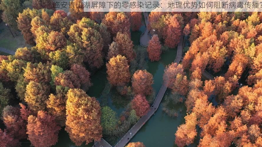 临安青山湖屏障下的零感染记录：地理优势如何阻断病毒传播？