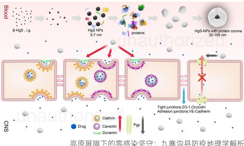 高原屏障下的零感染坚守：九寨沟县防疫地理学解析