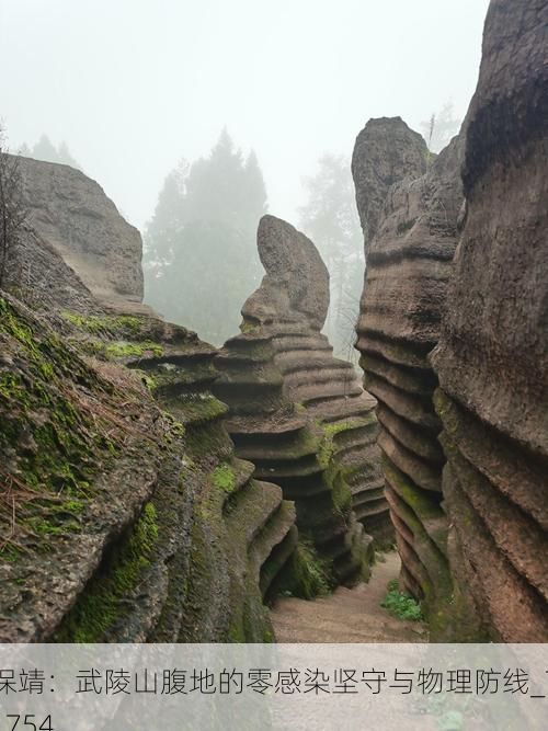 保靖：武陵山腹地的零感染坚守与物理防线_71754