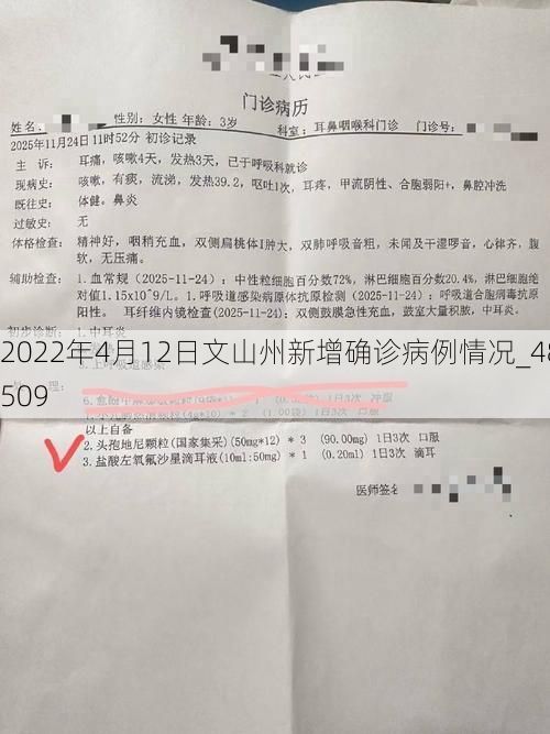 2022年4月12日文山州新增确诊病例情况_48509