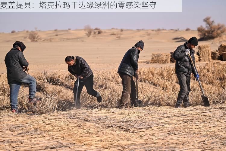 麦盖提县：塔克拉玛干边缘绿洲的零感染坚守