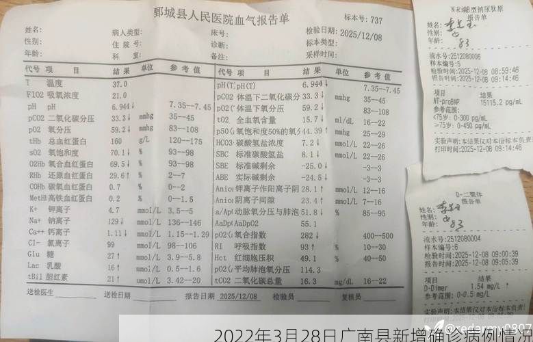 2022年3月28日广南县新增确诊病例情况