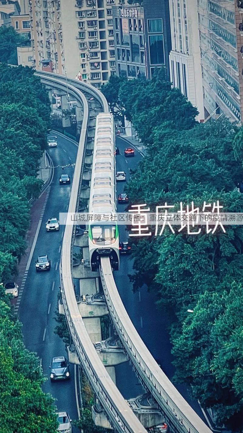 山城屏障与社区传播:重庆立体交通下的疫情溯源