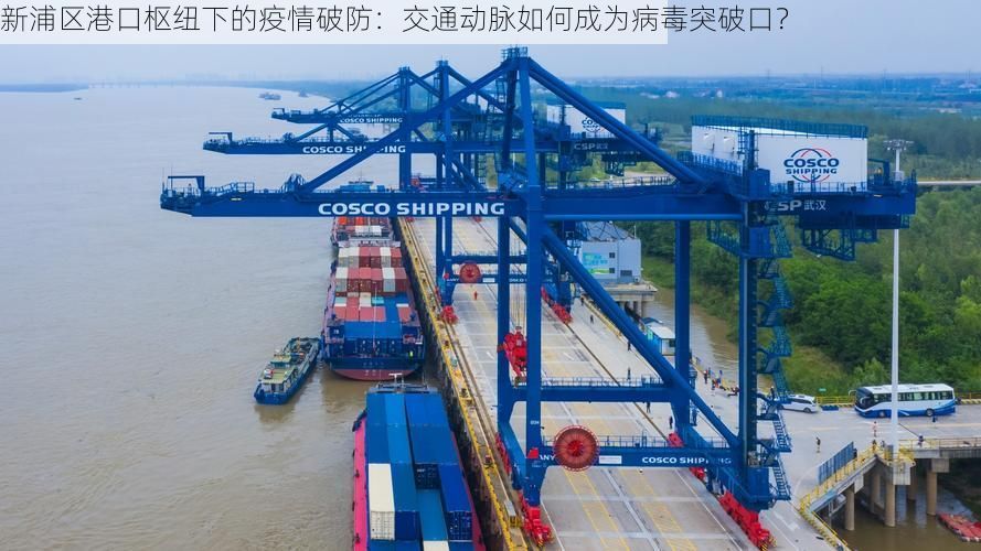 新浦区港口枢纽下的疫情破防：交通动脉如何成为病毒突破口？