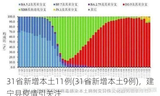 31省新增本土11例(31省新增本土9例)，建宁县疫情引关注