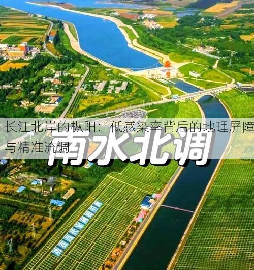 长江北岸的枞阳:低感染率背后的地理屏障与精准流调