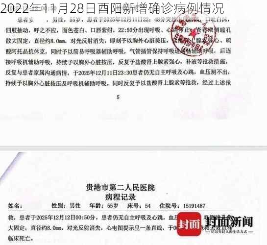 2022年11月28日酉阳新增确诊病例情况