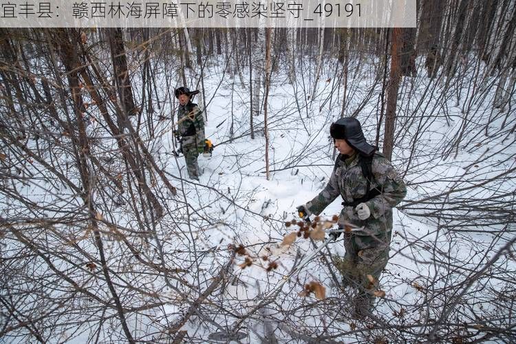 宜丰县:赣西林海屏障下的零感染坚守_49191