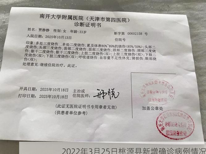 2022年3月25日桃源县新增确诊病例情况