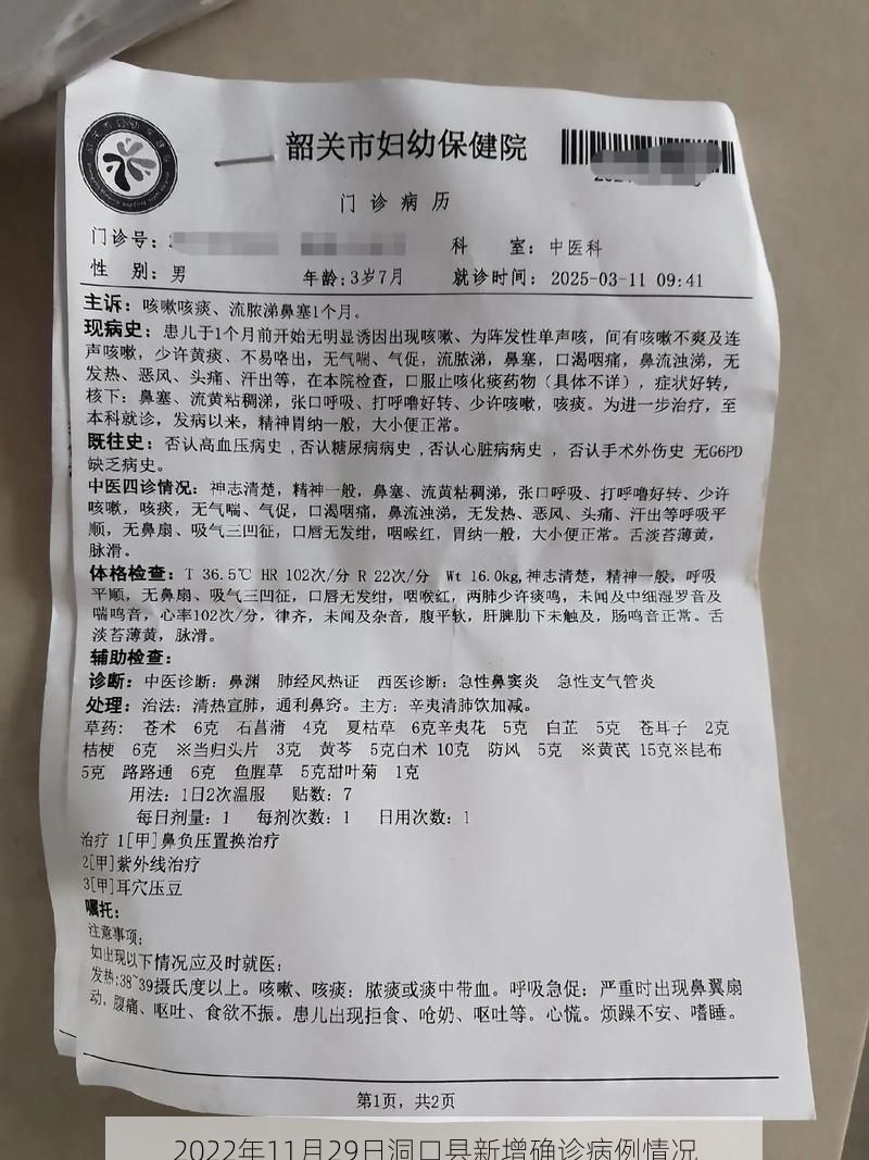 2022年11月29日洞口县新增确诊病例情况