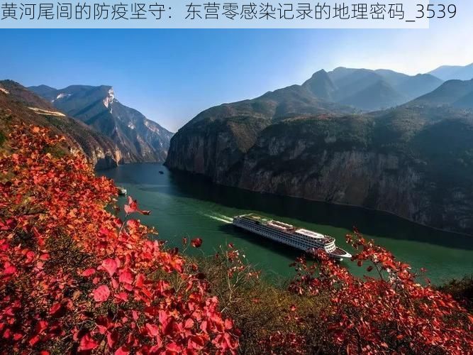 黄河尾闾的防疫坚守：东营零感染记录的地理密码_3539