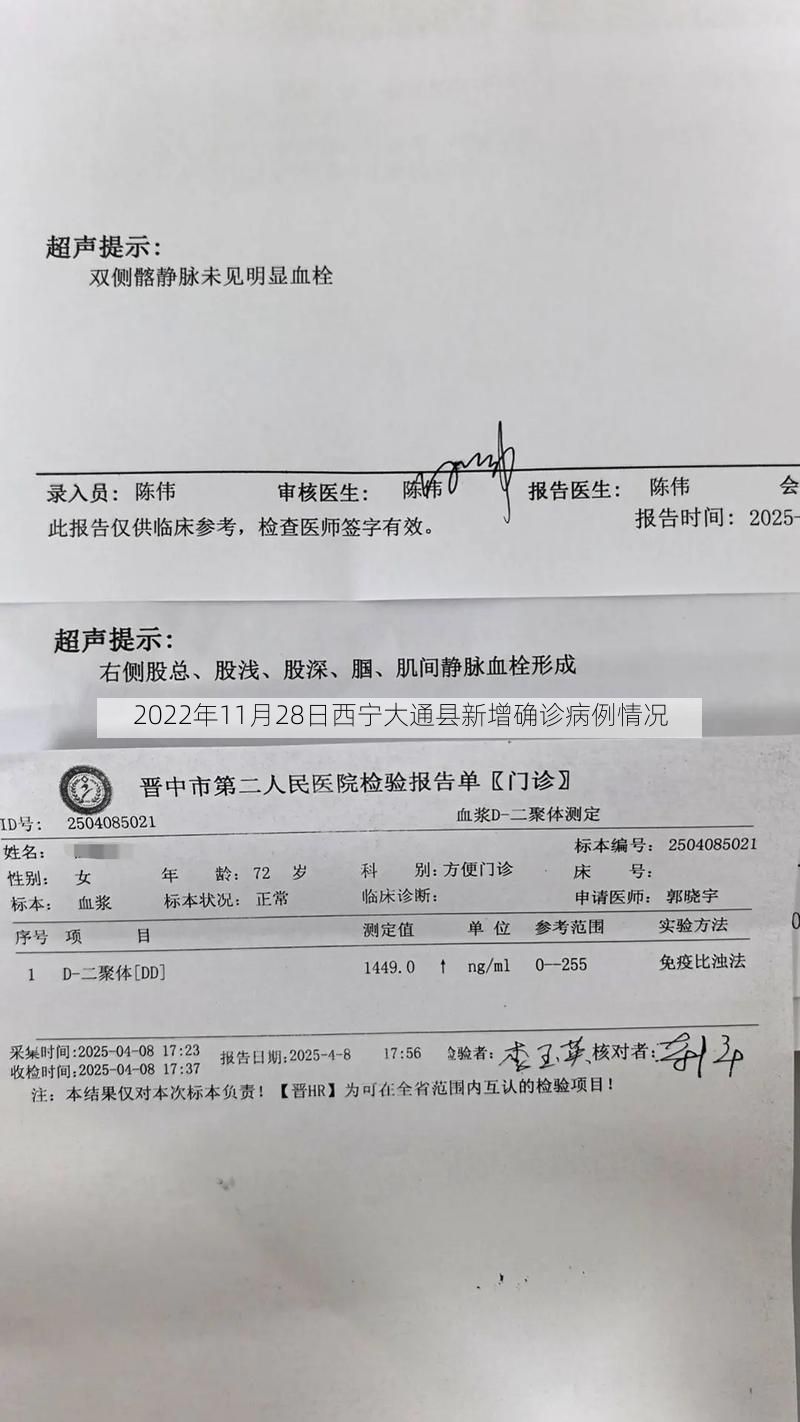 2022年11月28日西宁大通县新增确诊病例情况
