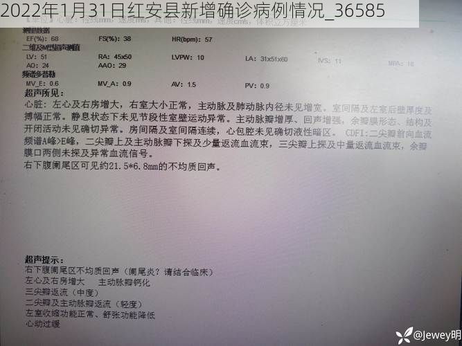 2022年1月31日红安县新增确诊病例情况_36585