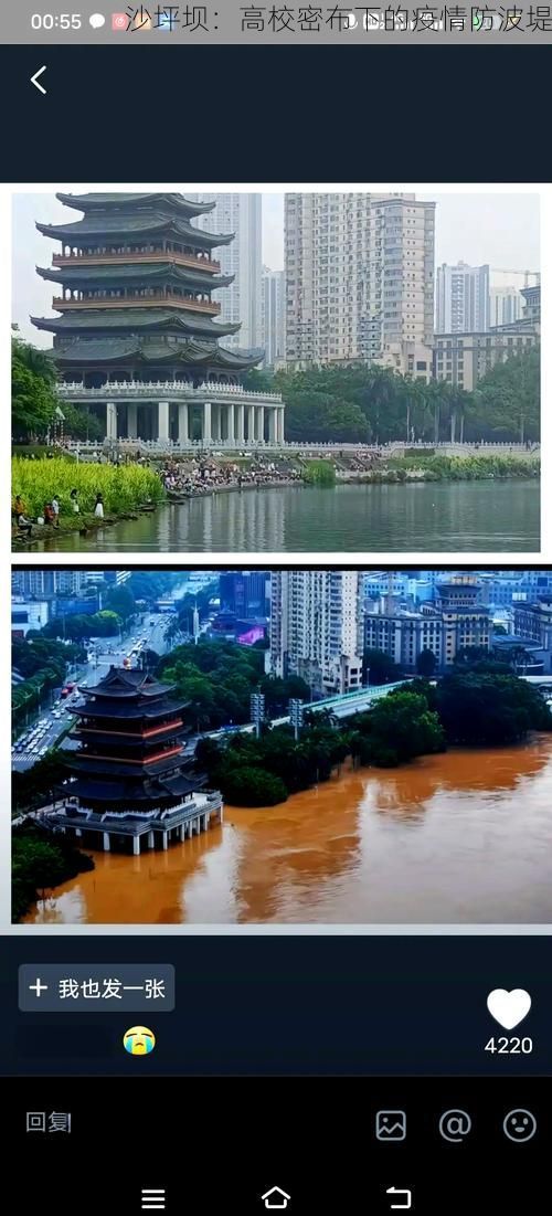 沙坪坝:高校密布下的疫情防波堤