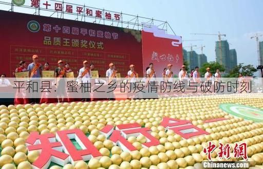 平和县:蜜柚之乡的疫情防线与破防时刻