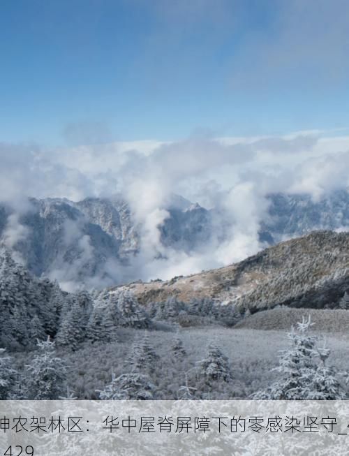 神农架林区：华中屋脊屏障下的零感染坚守_41429