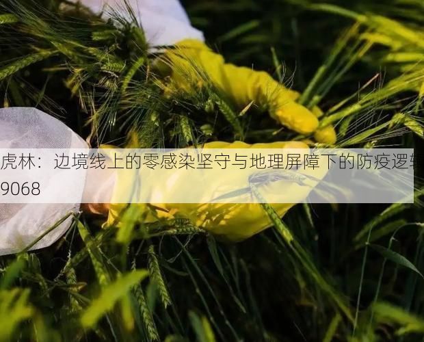 虎林：边境线上的零感染坚守与地理屏障下的防疫逻辑_19068