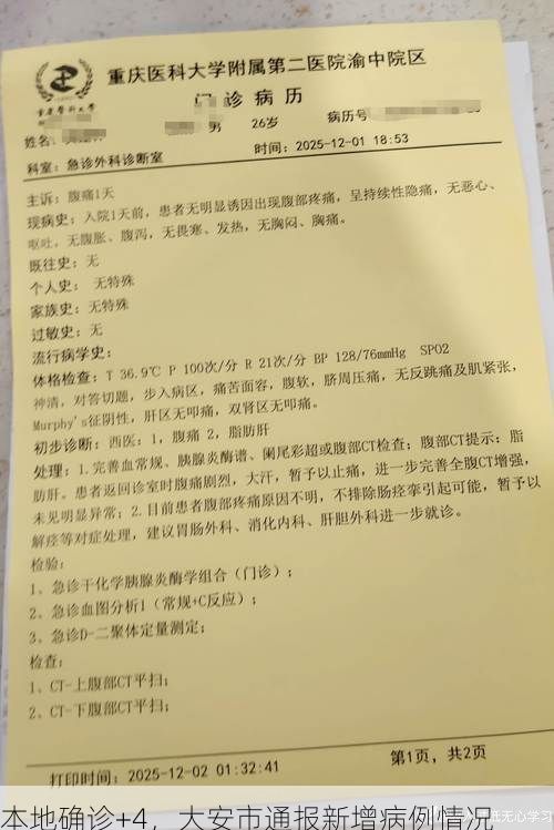 本地确诊+4，大安市通报新增病例情况