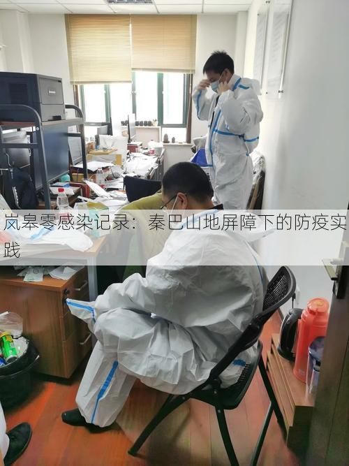 岚皋零感染记录：秦巴山地屏障下的防疫实践