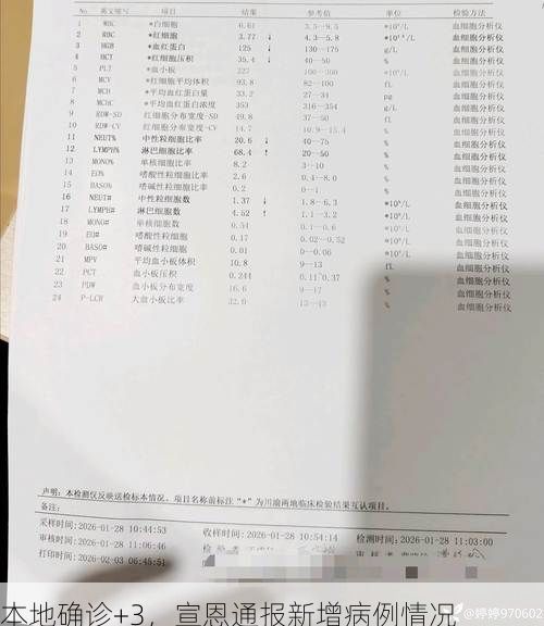 本地确诊+3，宣恩通报新增病例情况