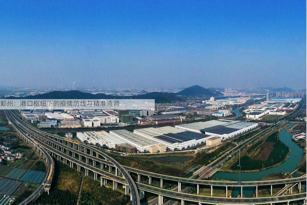鄞州：港口枢纽下的疫情防线与精准流调