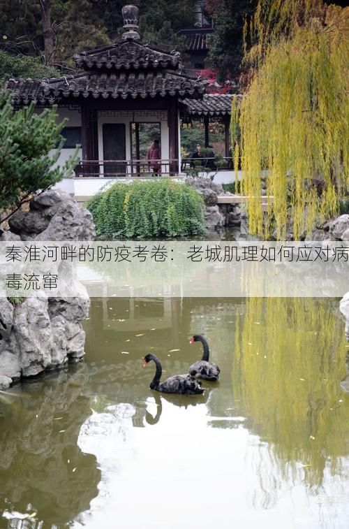 秦淮河畔的防疫考卷：老城肌理如何应对病毒流窜