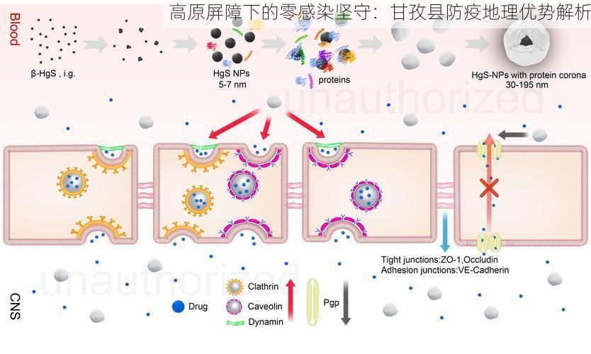 高原屏障下的零感染坚守：甘孜县防疫地理优势解析
