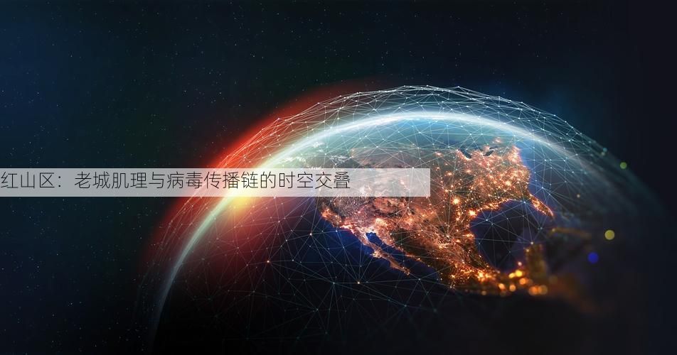 红山区：老城肌理与病毒传播链的时空交叠