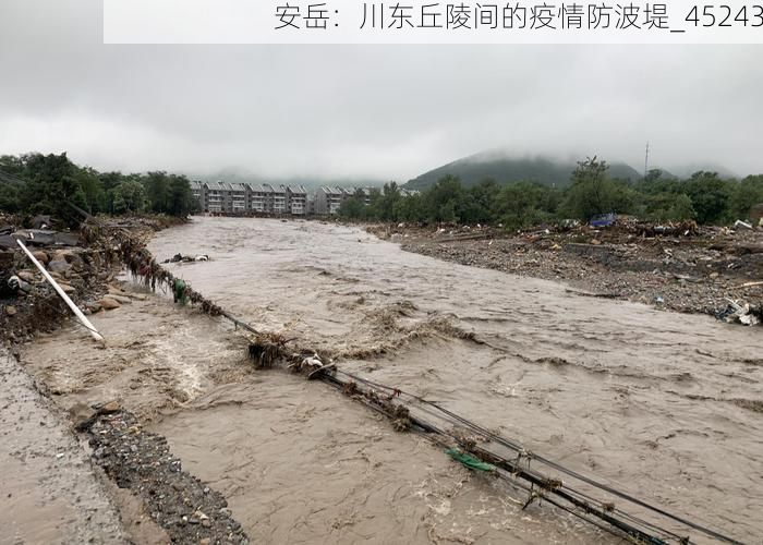 安岳：川东丘陵间的疫情防波堤_45243