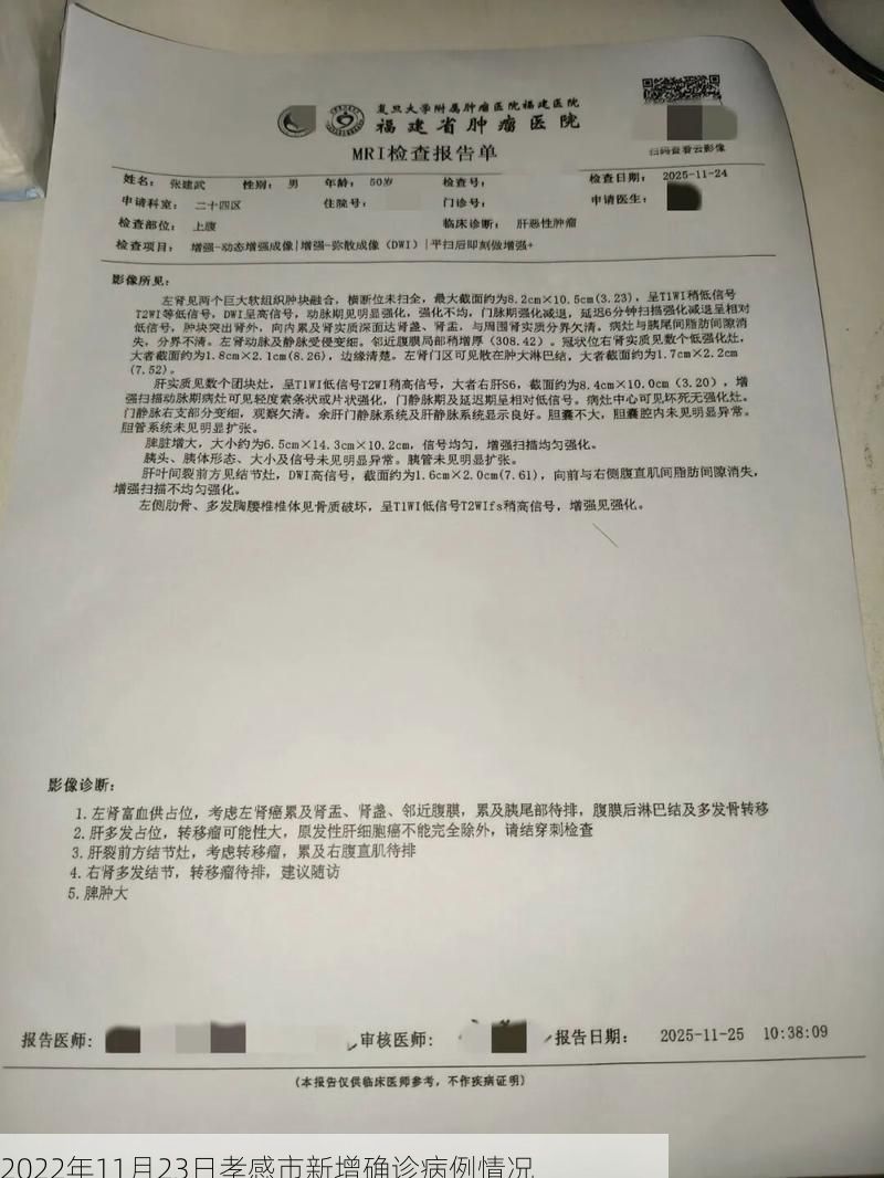 2022年11月23日孝感市新增确诊病例情况