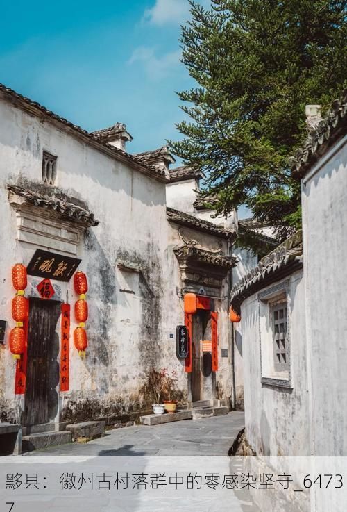 黟县：徽州古村落群中的零感染坚守_64737