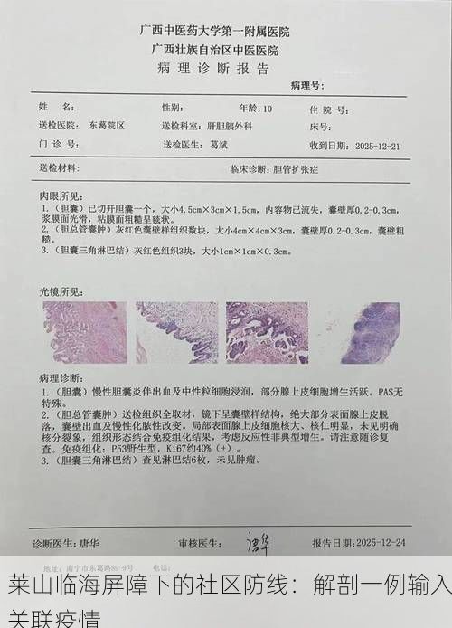 莱山临海屏障下的社区防线：解剖一例输入关联疫情