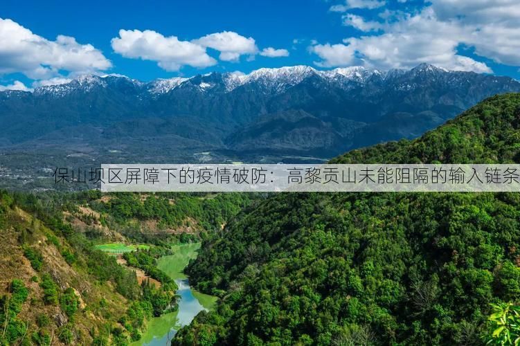 保山坝区屏障下的疫情破防：高黎贡山未能阻隔的输入链条