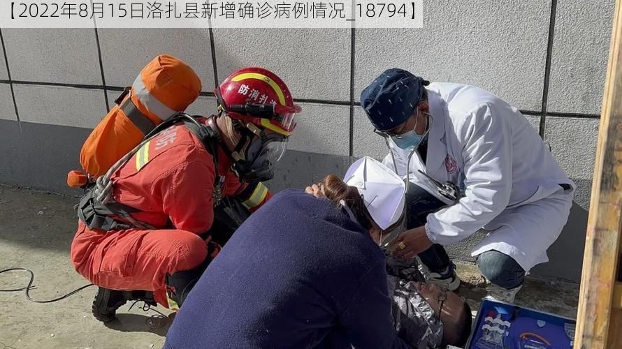 【2022年8月15日洛扎县新增确诊病例情况_18794】